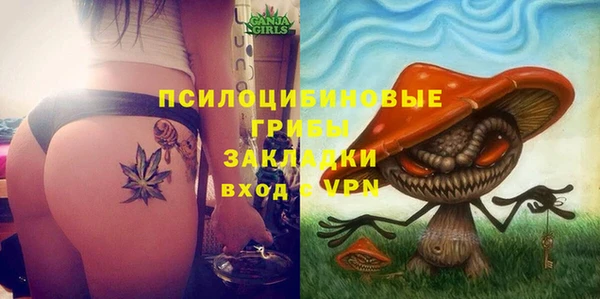 2c-b Абаза