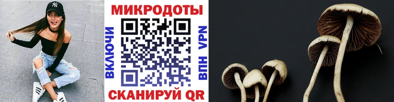 Псилоцибиновые грибы ЛСД  Чадан 